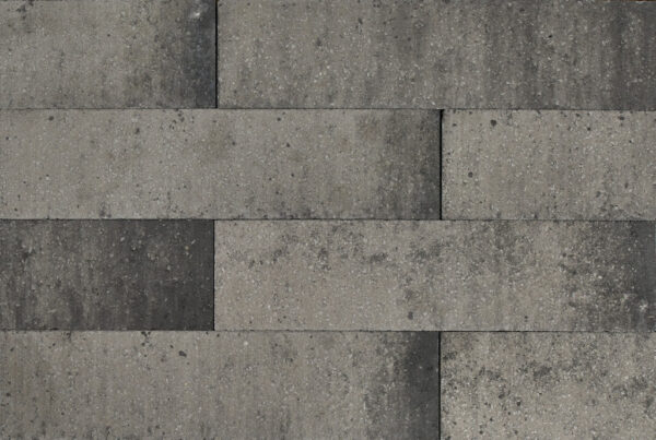 brickline 10x10x60 grijs/zwart