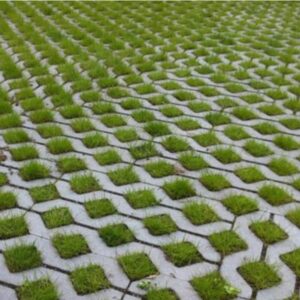 Grasbeton waterwijs 40x60x12 cm grijs