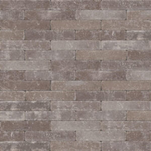 abbeystone 40x8x8 certosa
